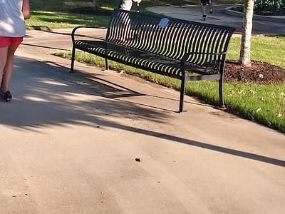 Rockin’ Robin – Veterans Park