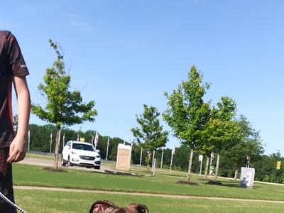 Rockin’ Robin – Veterans Park