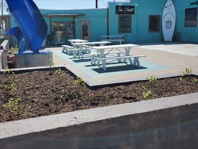 Rockport Daily Grind