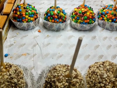 Rocky Mountain Chocolate Factory