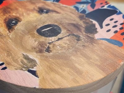 Roll Over Rolled Ice Cream & Boba Tea