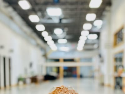 Romeros Coffee & Mini Donuts