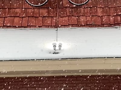 Rooster's Bike & Coffee Shop