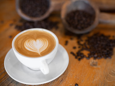 ROOT HOUSE coffee + shop