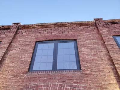 Rooted Plant + Coffee Shop