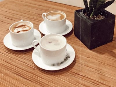 Rooted Plant + Coffee Shop