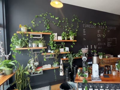 Rowster Coffee Wealthy