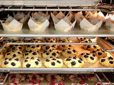 Ruby's Roost Spearfish