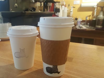 Rwanda Bean at Deering Center