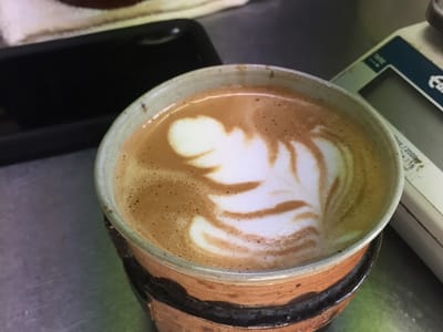 Sacred Grounds Coffee Roasters