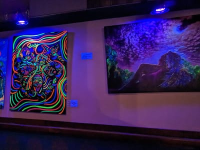 Sacred Root Kava Lounge & Tea Bar