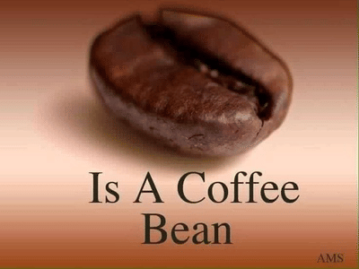 Sadie's Coffee Corner