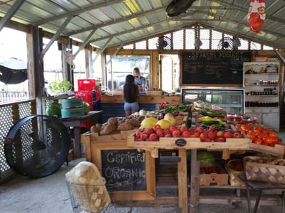 Salty Air Open Market