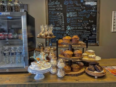 Sandy Paws Buzz & Brew