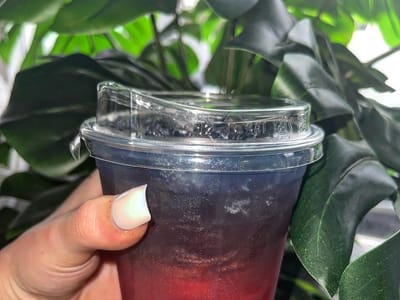 Sandy Paws Buzz & Brew