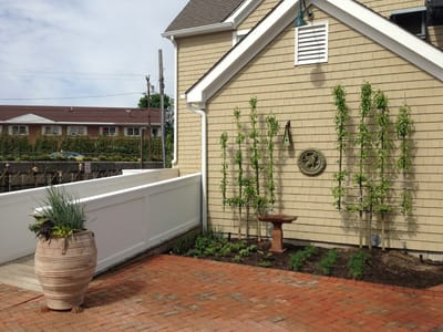 Sarikopa Organic Coffee house, Tea, Juice Bar, Smoothies, Açaí bowl and Eatery