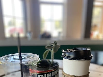 Savannah's Coffee Corral