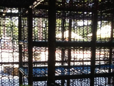 SC Cafe & Kid City Entrance