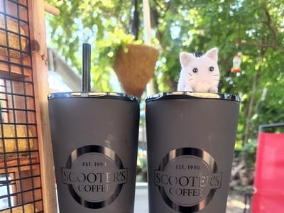 Scooter's Coffee