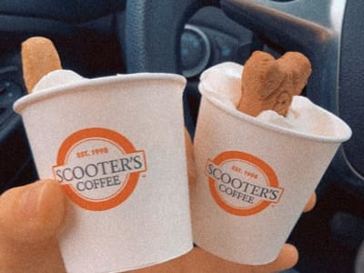 Scooter's Coffee