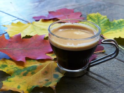 Scott Brothers Coffee Co