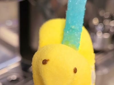 Screamin Beans Coffee Shop