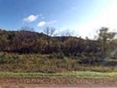 Secret Garden & Gazebo