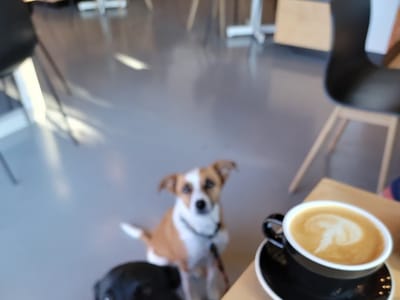 See See Motor Coffee