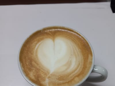 Seeds of Life “Coffee Shop”