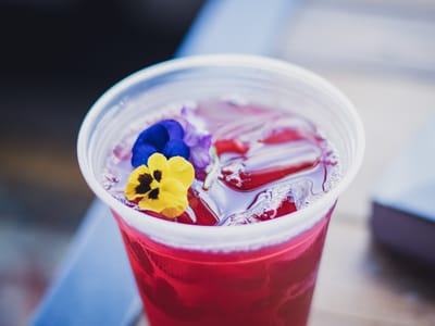 Semilla Cafe + Studio