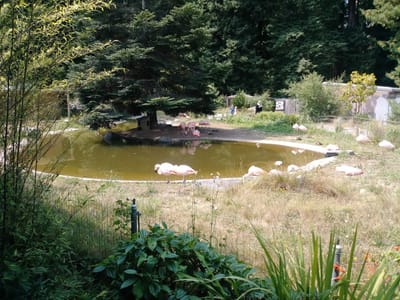Sequoia Park Zoo Cafe