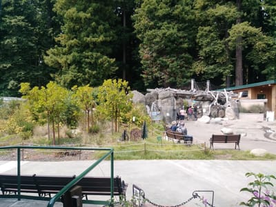 Sequoia Park Zoo Cafe