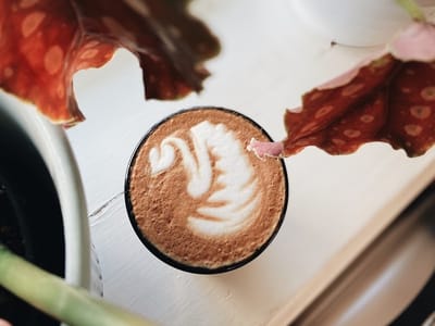 Seventh Square Coffee