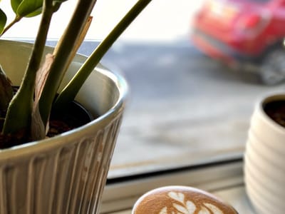 Seventh Square Coffee