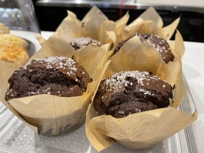 Shaded City Café Avalon