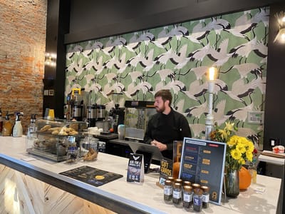 Shaded City Café Avalon