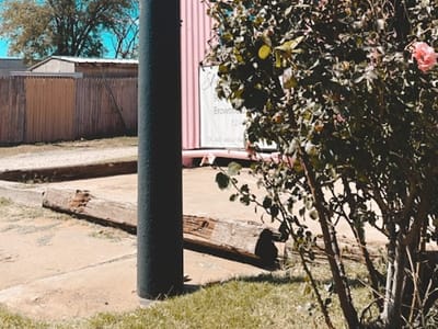 She’ Brews Coffee & Co.