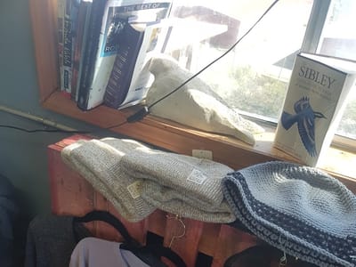 Shearwater Art & Espresso