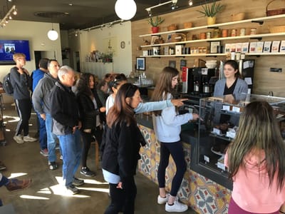 Shearwater Coffee Bar Westport