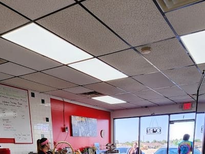 Shelly Belly NY Bagels