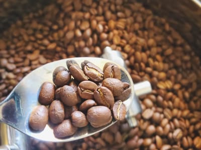 Shinza Coffee Roasters