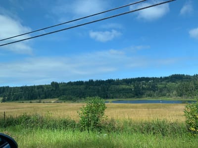 Shipwreck Coffee Camano Island