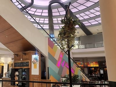 Shotted Specialty Coffee