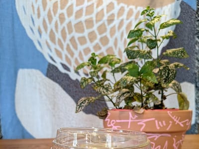 Side Practice Coffee