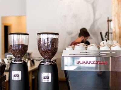 Silver Grizzly Espresso