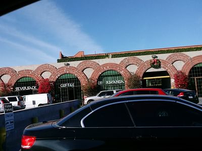 Silverback Coffee of Rwanda