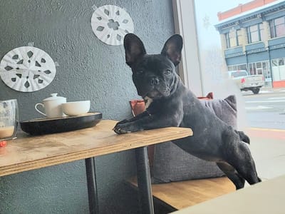 Simple Teas Trinidad