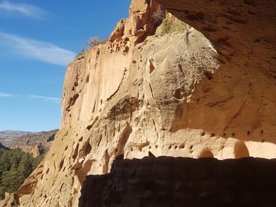 Sirphey in the Canyon