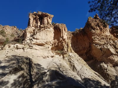 Sirphey in the Canyon