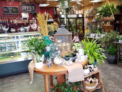 Sitka Flowers & The Chocolate Moose